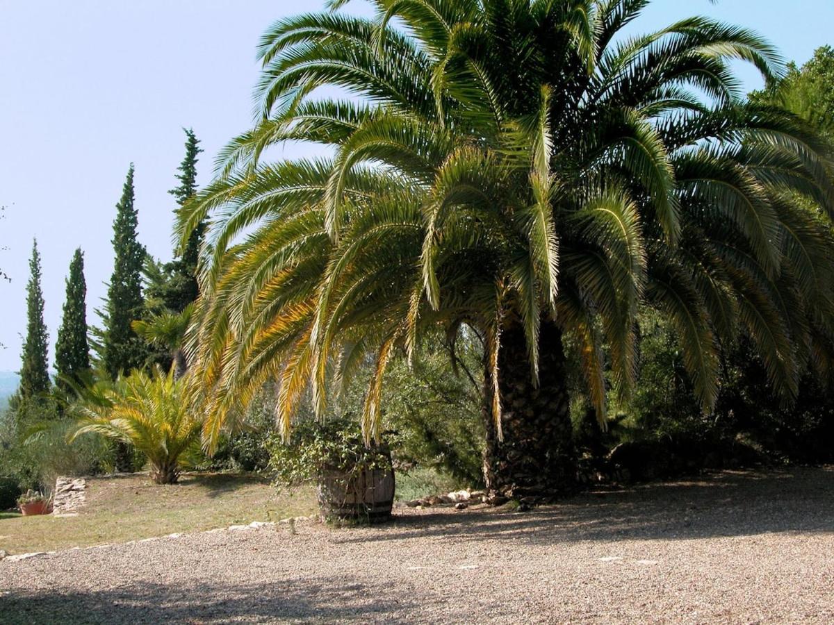 Catalunya Casas Rural Charm On An Olive Farm In Costa Dorada! Vespellá المظهر الخارجي الصورة